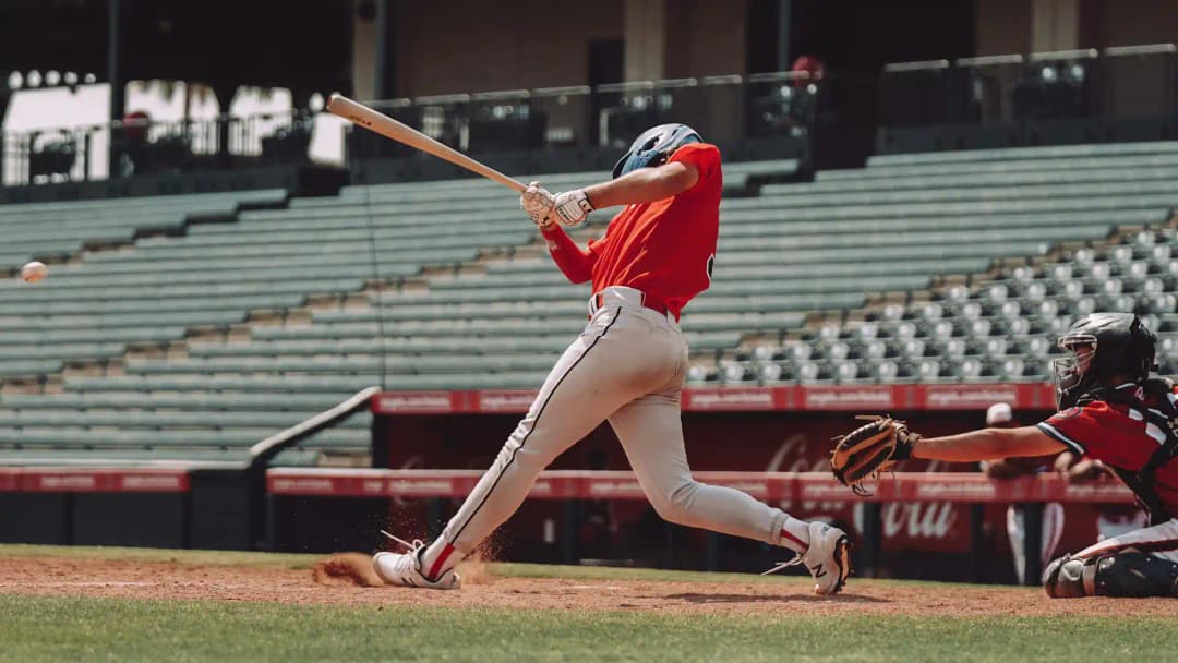 Baseball Batter